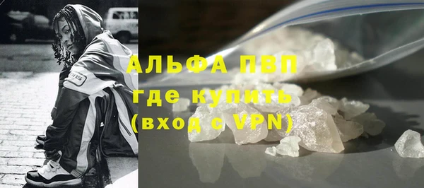 прущие грибы Елабуга