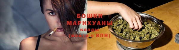 стафф Дмитров