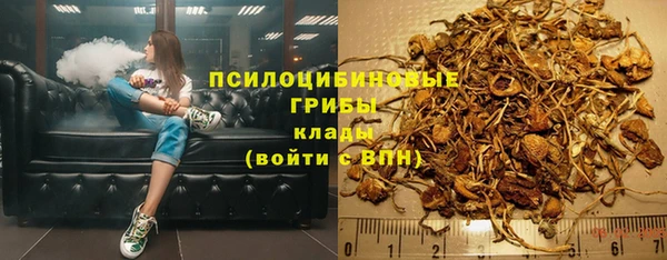 mdma Ельня