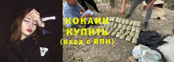 стафф Дмитров